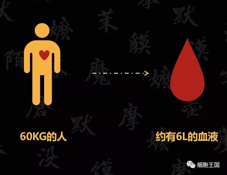 一滴血里的大秘密，你不能不知道哦！